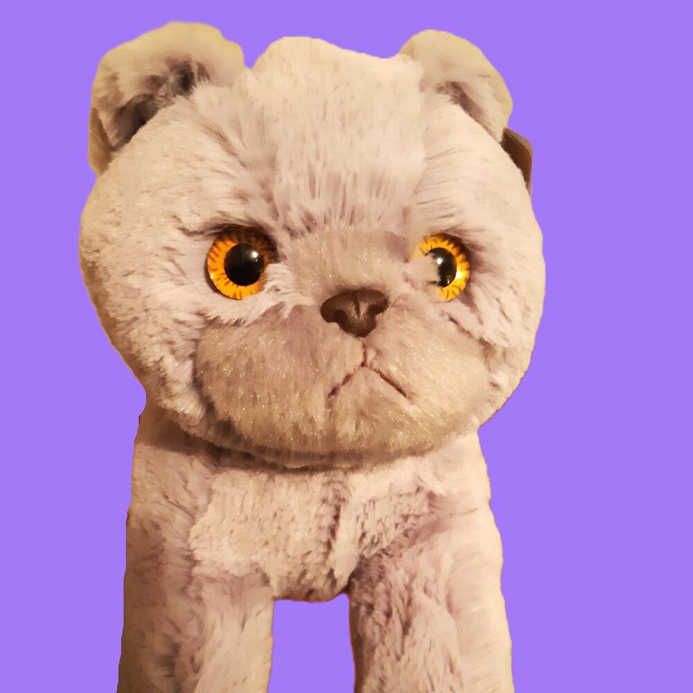 Aurora World Flopsie Scotty Cat Plush - 12 inch - like new with tag